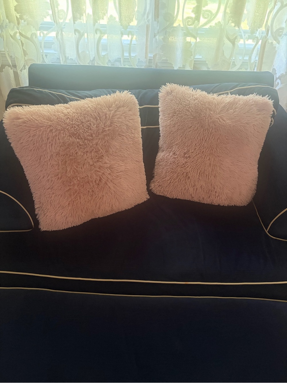 Pair of Plush Pink Throw Pillows
